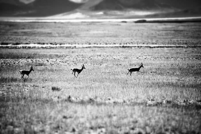 Documentary — 201210031149_bw