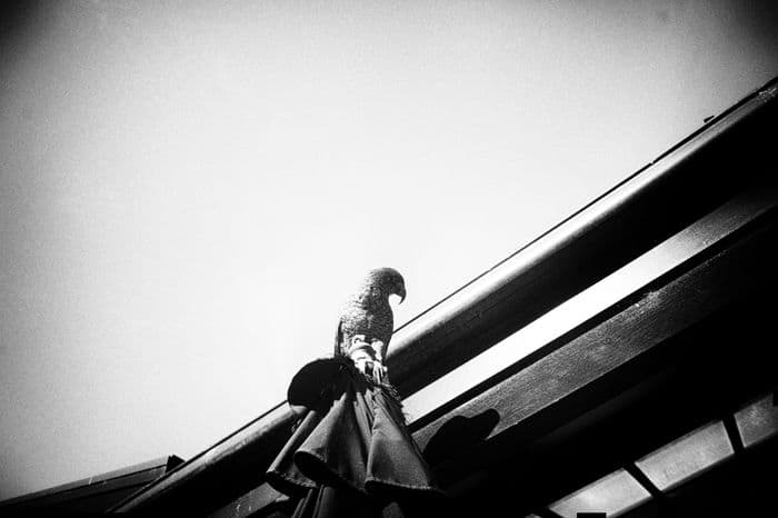 Documentary — 201902111721
