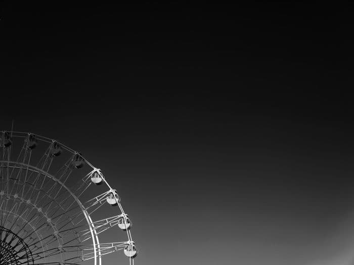Documentary — 202411202025