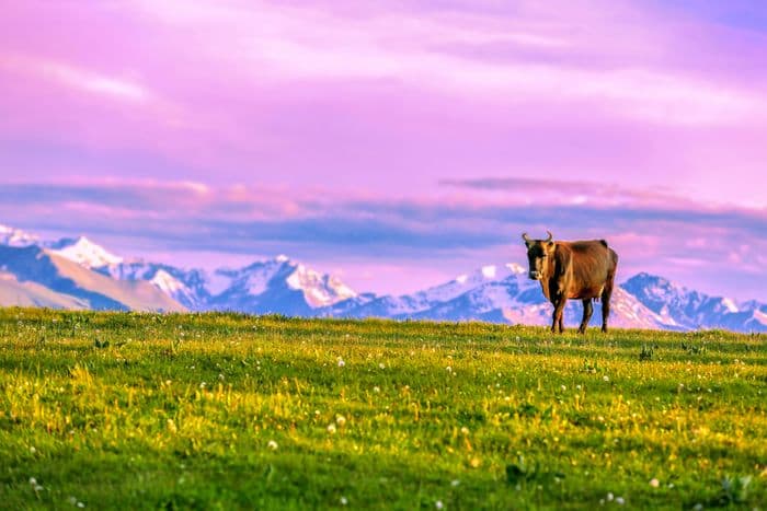 Landscape — 201506172129