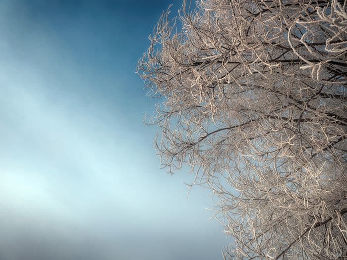 Landscape — 202301270749