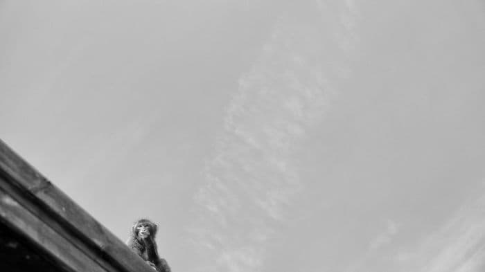 Landscape — 202302061242_n