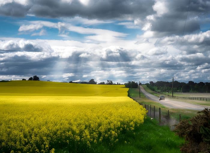 Landscape — 202409231643