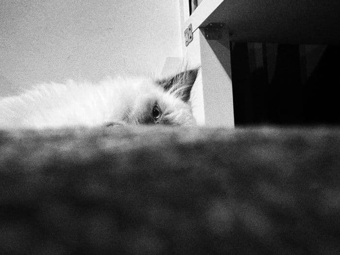 Mobile — 202404131245_bw