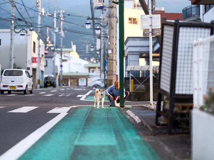 Street — 202411132030_n